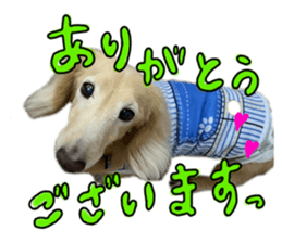 792033228