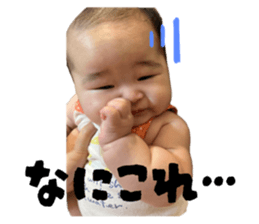 792034019