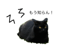 792047875