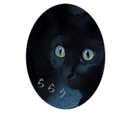 792047888