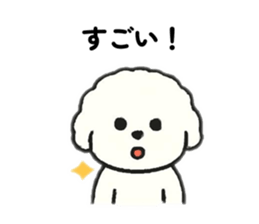 792053572