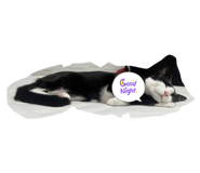792068447