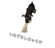 792068646