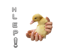 792083181