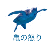 792091870
