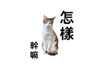 792099794