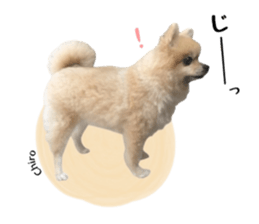 792101512