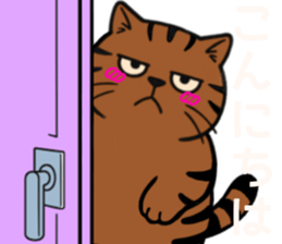 792116781