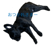 792130231