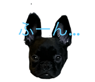 792130232