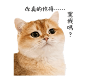 792130738