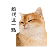 792130752
