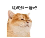 792130753
