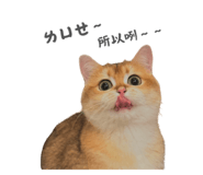 792130755