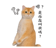 792130757