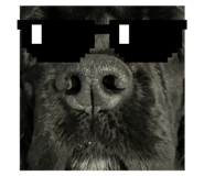 792131842