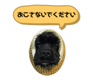 792131863