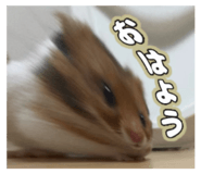 792156558