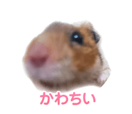 792156565