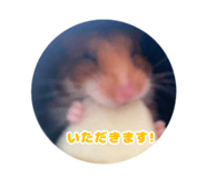 792156566