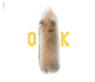 792156568
