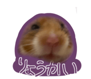792156570