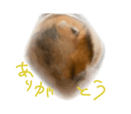 792156572