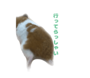 792156581