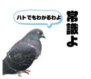 792163479