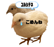 792163484