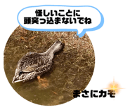 792163485