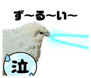 792163488