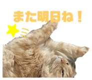 792178825