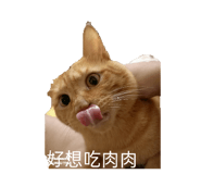 792193041