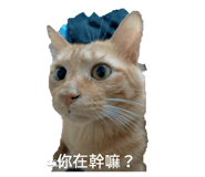 792193043