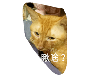 792193047