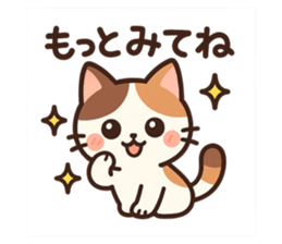 792202384