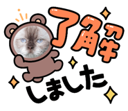792239161