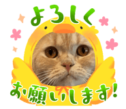 792239166
