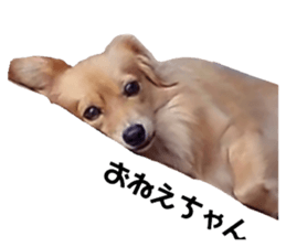 792239241