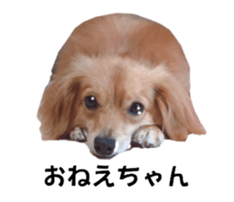 792239242