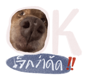 792239764
