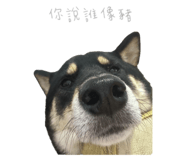 792243663