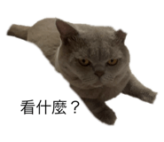 792259897