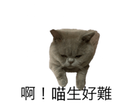 792259900