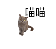 792259902