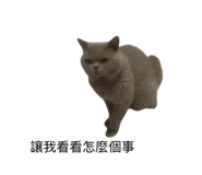 792259904