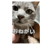 792277422