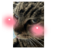 792277425