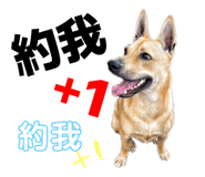 792293501